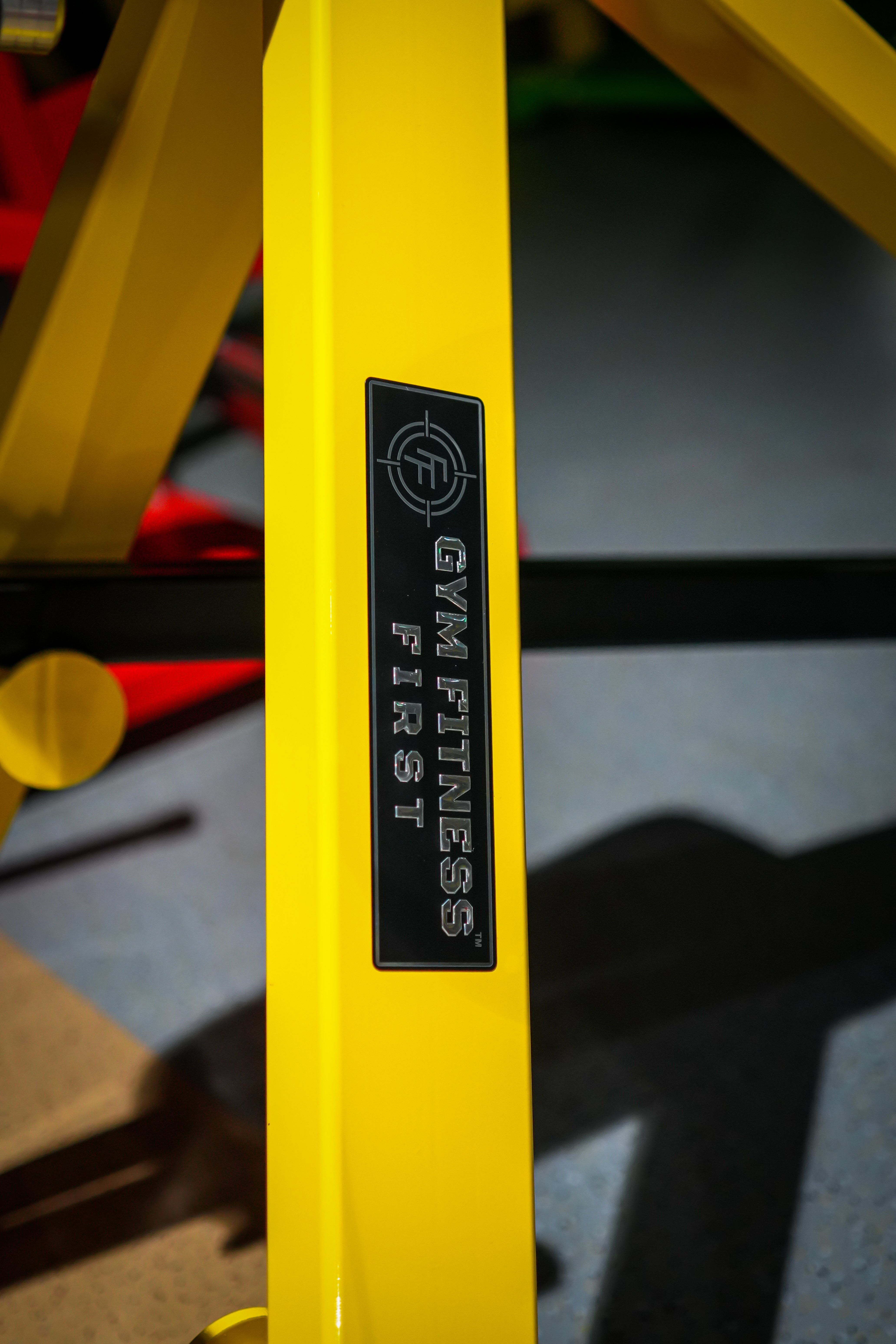 Gym Equipment with Nylon Pulleys, Premium Powder Coating & Free Service | Gym Fitness First