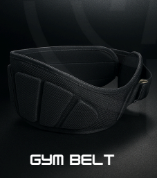 GYM BELT